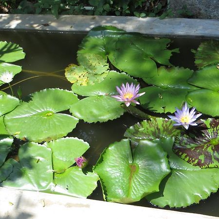 高尔Atapattu Walawwa别墅 外观 照片